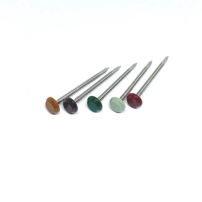 50mm Galvanized Concrete Nails with Steel Washer  China Concrete Nail  Steel Nail  MadeinChinacom